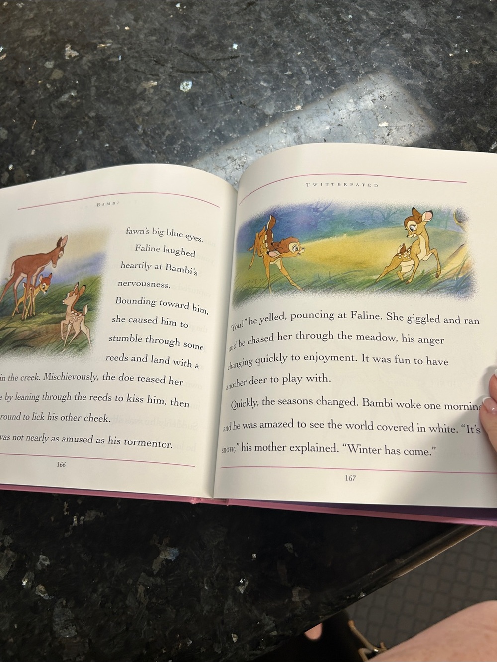 Disney’s Princess Collection - Picture 4 of 4